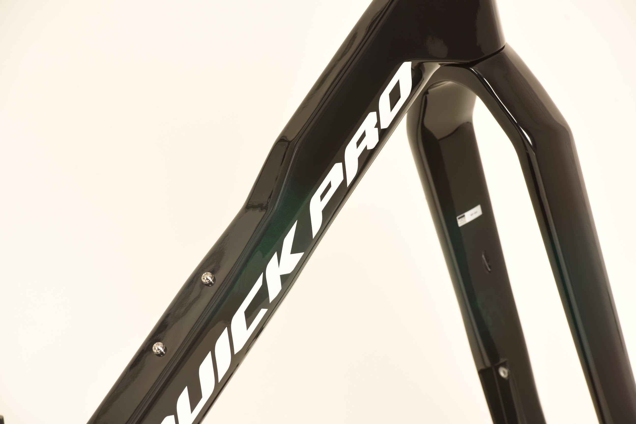 ER:ONE CUSTOM COLOR - ER19