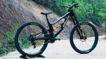 GRAVITY DH 29"